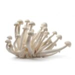 Cogumelo Shimeji Branco 200g