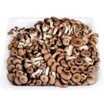 Cogumelo Shimeji Escuro 200g